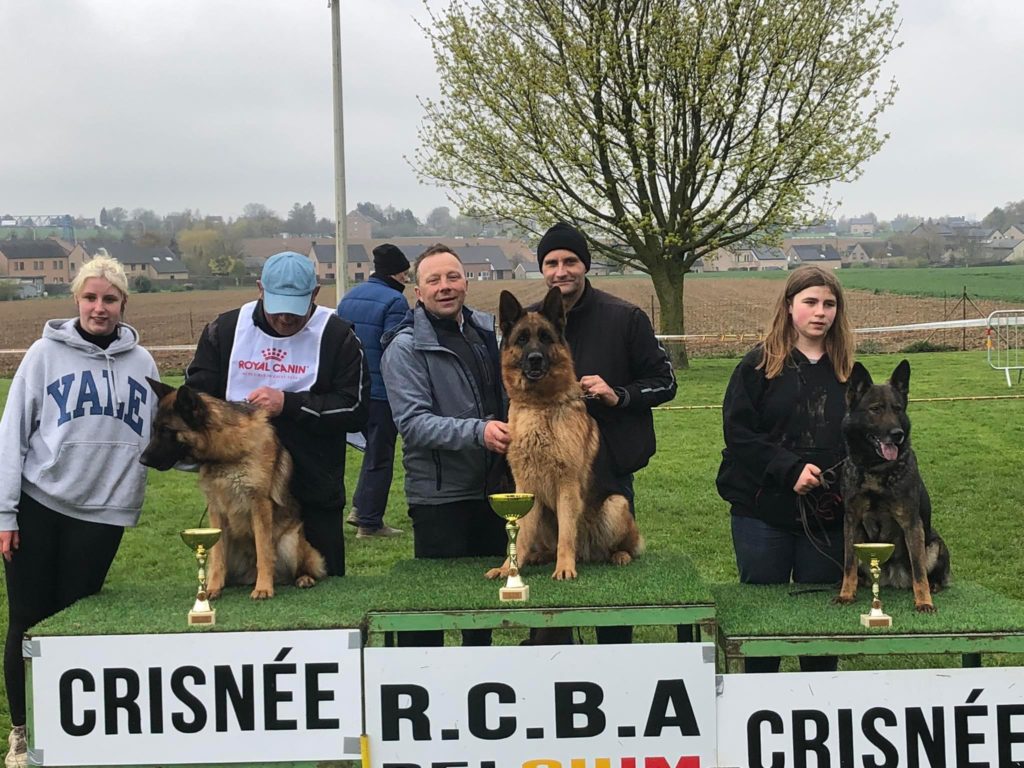 Romy première expo classe travail Crisnée 2023